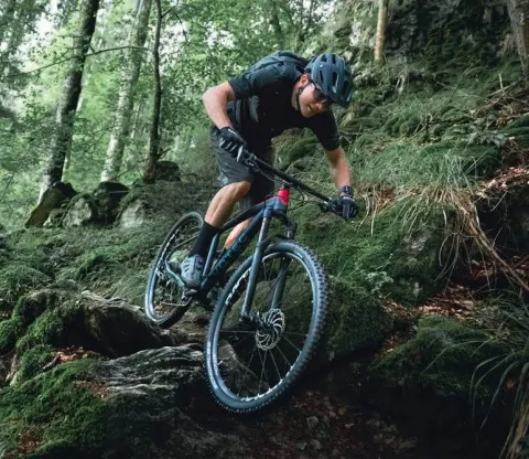 Cykel i skogen